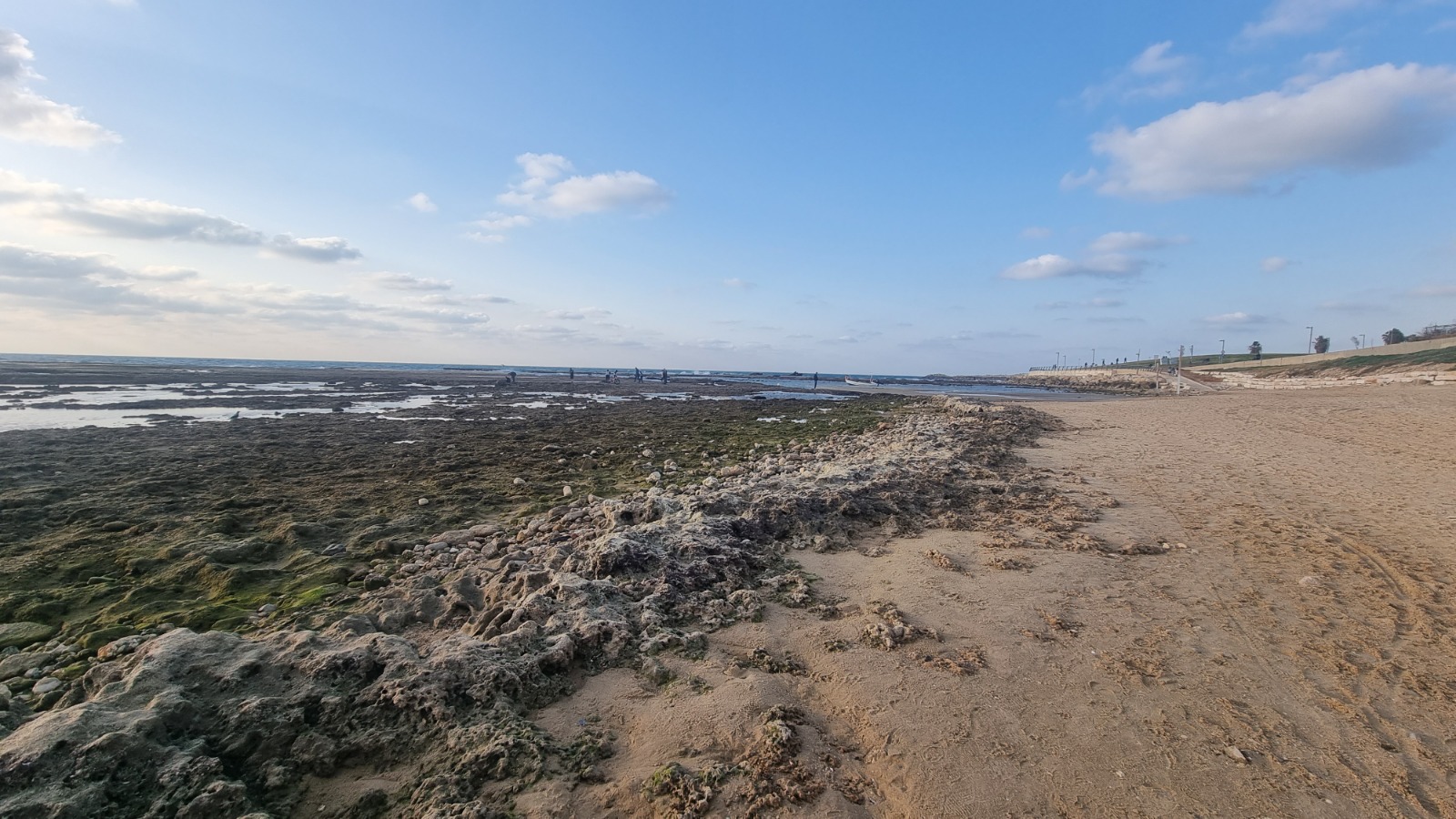 WhatsApp Image 2023-02-20 at 5.53.59 PM (19).jpeg